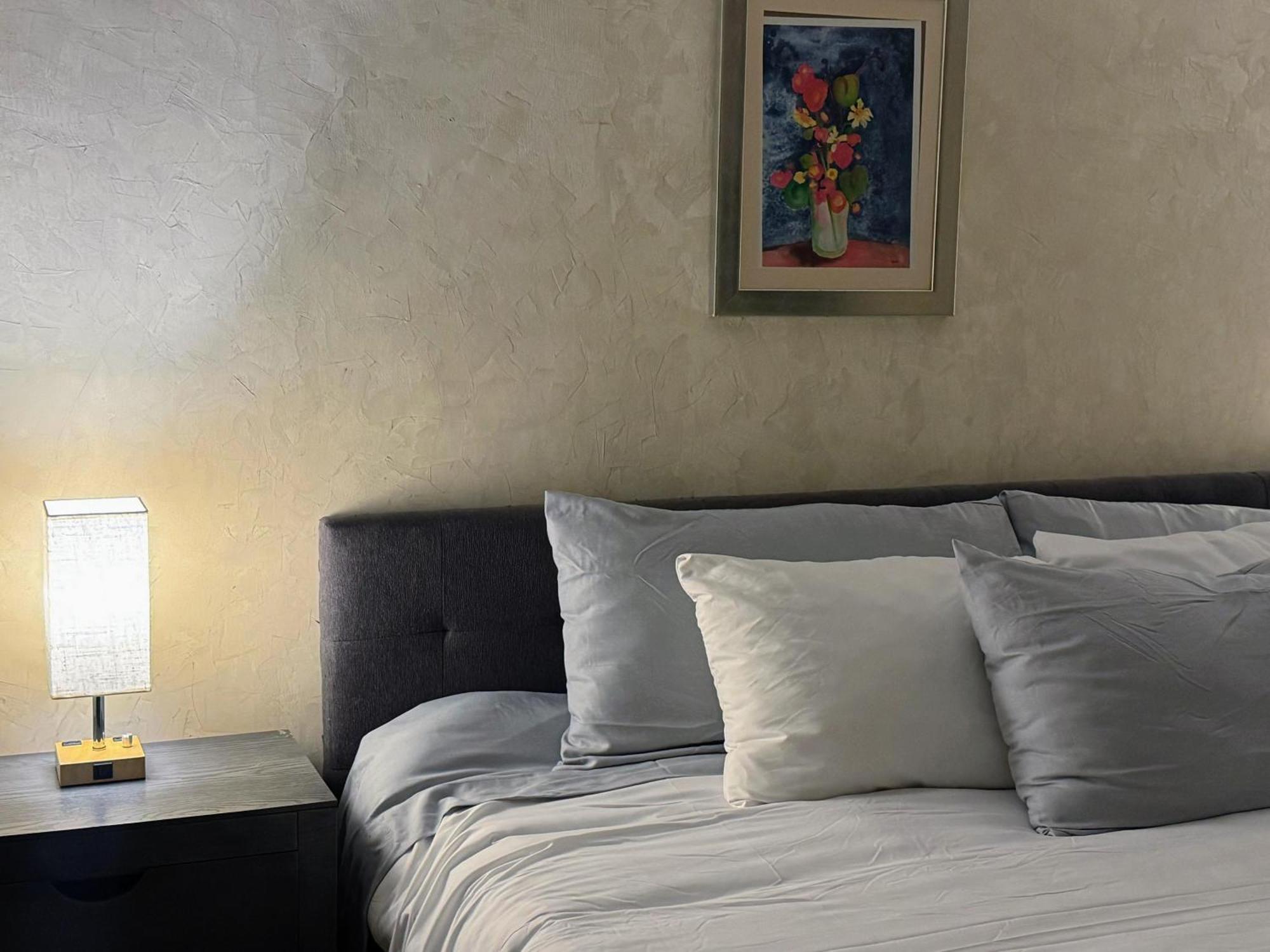 Macarena Guest House San Miguel de Allende Eksteriør bilde